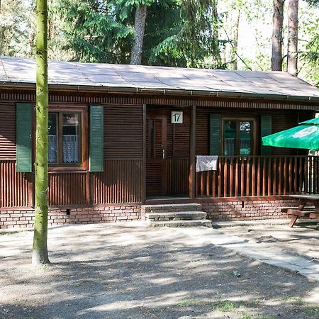 Lesna Ryba Otel Jedlanka Stara Oda fotoğraf